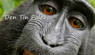 Τι υπέροχο να είσαι άνδρας!