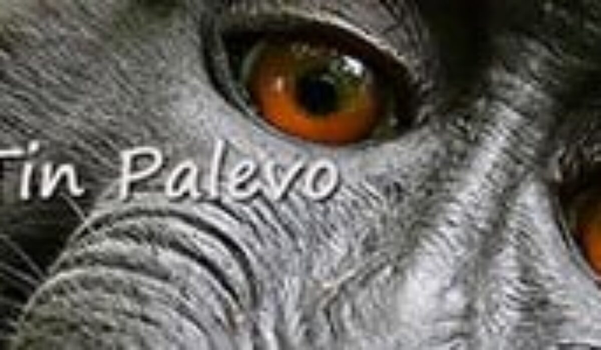 image_placeholder