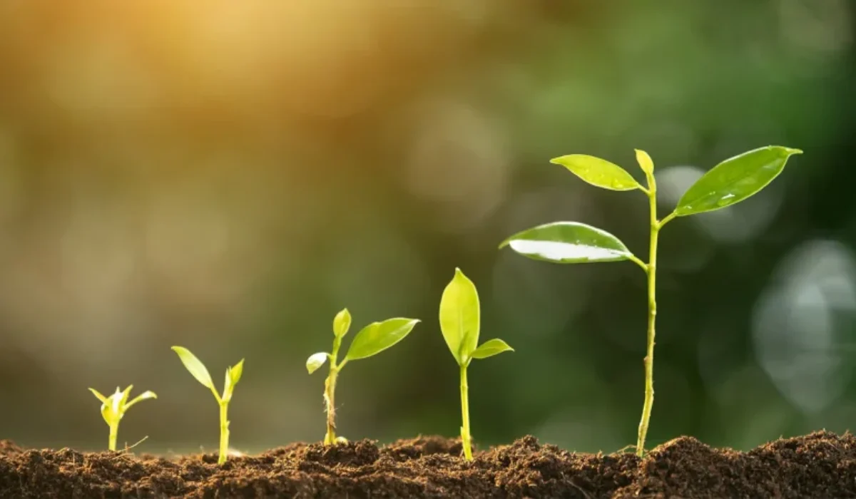 Οι κανόνες της ζωής! Οι κανόνες της ζωής